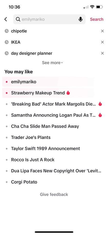 Image 3: TikTok search window with a drop-down menu showing a list of trending topics under You may like section