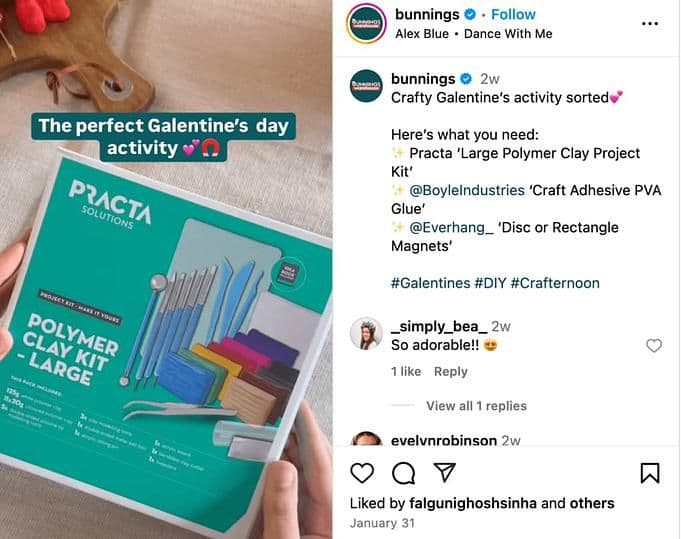 Image 18: An Instagram video by Australian garden center chain Bunnings to promote its products.